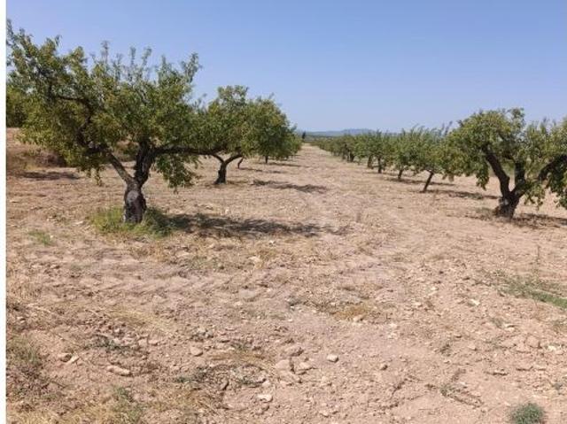 Local Comercial en venta en Noroeste, Murcia