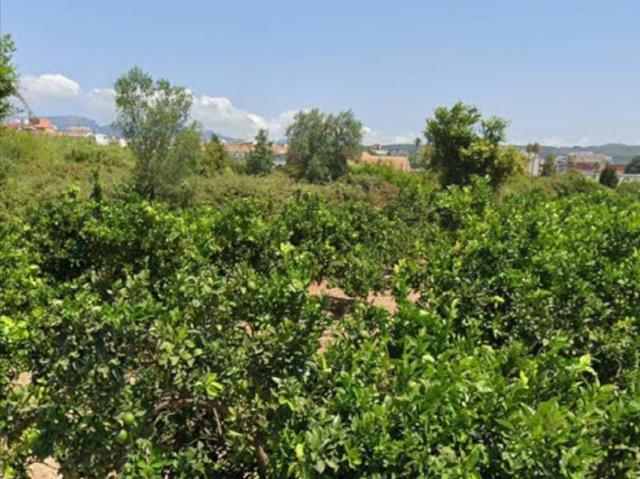 Terreno en venta en la Ribera Baixa, Valencia