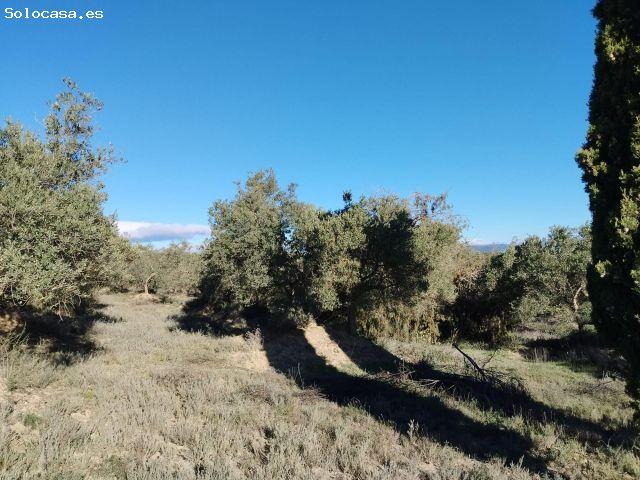 Local Comercial en venta en Somontano de Barbastro, Aragón