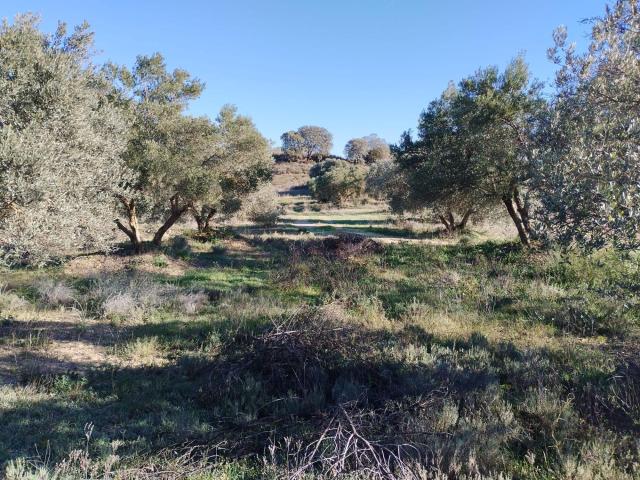 Terreno en venta en Somontano de Barbastro, Aragón