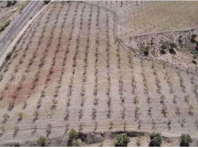 Local Comercial en venta en Fiñana, Andalucía