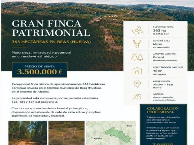 Local Comercial en venta en Beas, Huelva