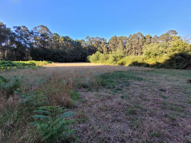 Casa Rural en venta en Pexegueiro, O Baixo Miño