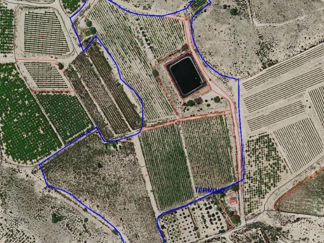 Terreno en venta en Mujeres Deportistas, el Vinalopó Mitjà / El Vinalopó Medio