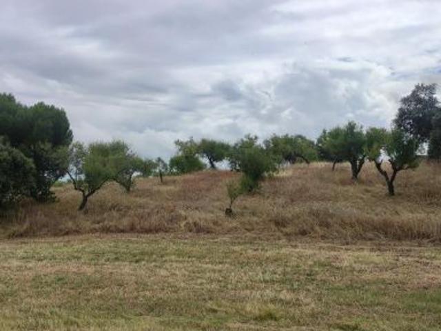 Local Comercial en venta en Garrovillas de Alconétar, Cáceres