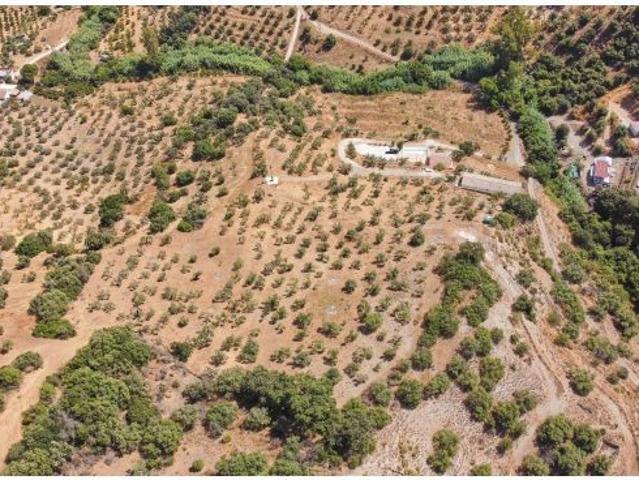 Local Comercial en venta en Guaro