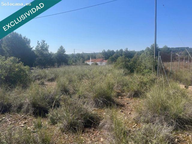 Finca en venta en Almansa, Castilla-La Mancha