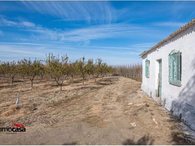 Local Comercial en venta en Comarca de Guadix, Andalucía