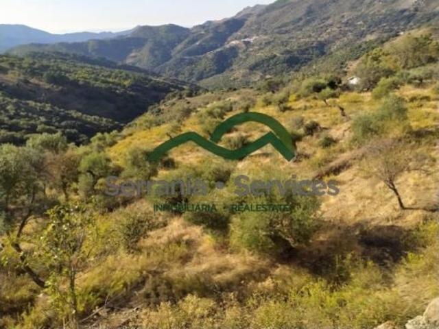Casa en venta en Serranía de Ronda, Andalucía