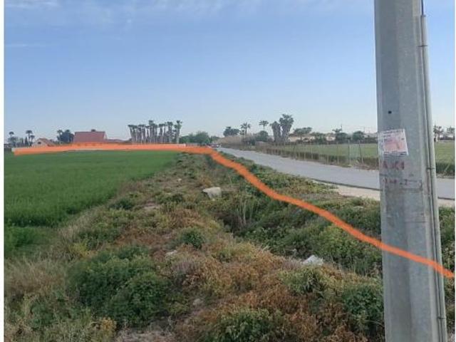 Local Comercial en venta en el Baix Segura / La Vega Baja, Valencia