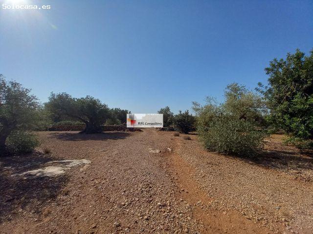 Local Comercial en venta en Baix Ebre, Catalunya