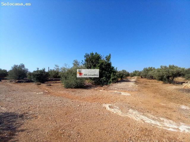 Local Comercial en venta en Baix Ebre, Catalunya