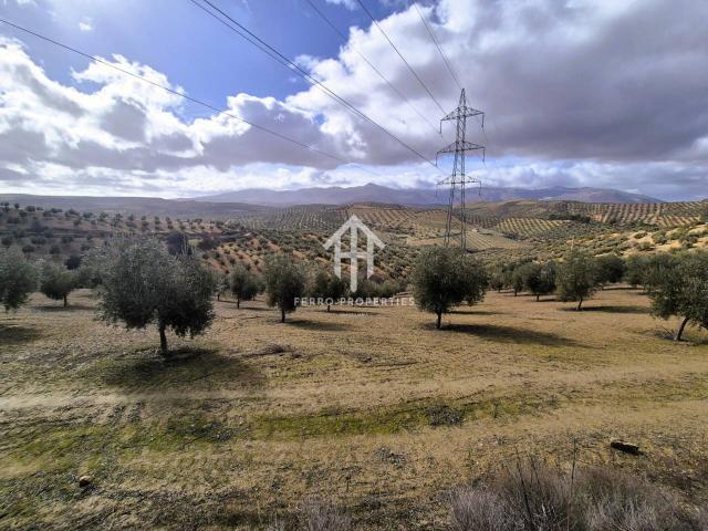 Terreno en venta en Comarca de Loja, Andalucía