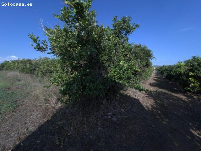 Finca en venta en Alcanar, Tarragona
