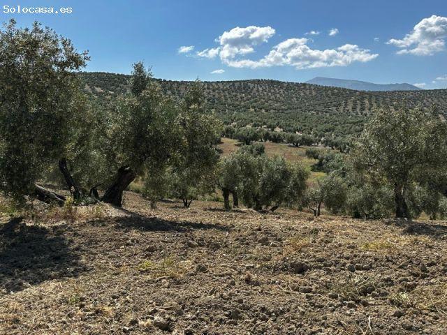 Casa en venta en Torre Del Campo