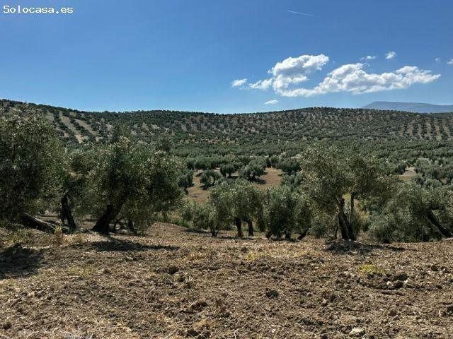 Casa en venta en Torre Del Campo, Andalucía