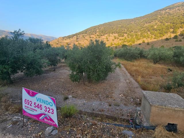 Casa en venta en Fondón, Andalucía