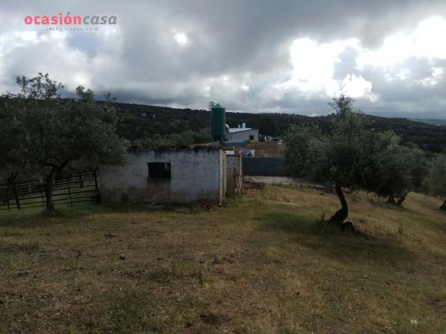 Chalet en venta en Villanueva De Córdoba, Andalucía