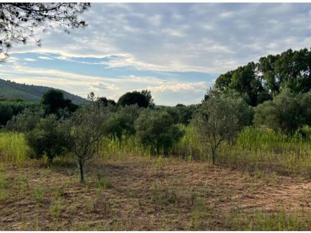 Local Comercial en venta en la Plana Alta, Valencia