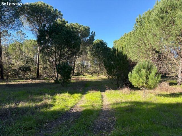 Local Comercial en venta en El Condado, Andalucía