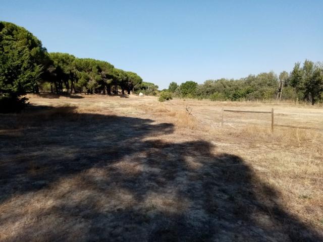 Chalet en venta en Villanueva De Duero, Castilla y León