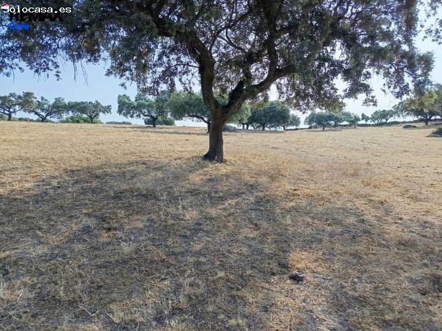 Local Comercial en venta en Tierra de Badajoz, Extremadura