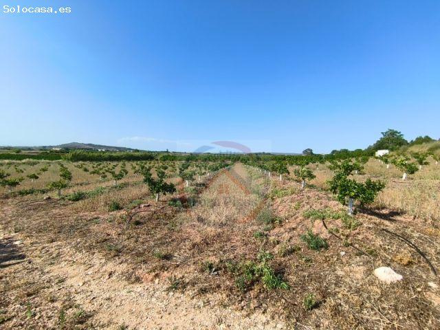 Local Comercial en venta en la Costera, Valencia