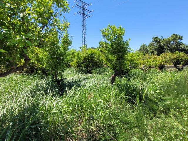 Terreno en venta en Puente Tocinos, Área Metropolitana de Murcia