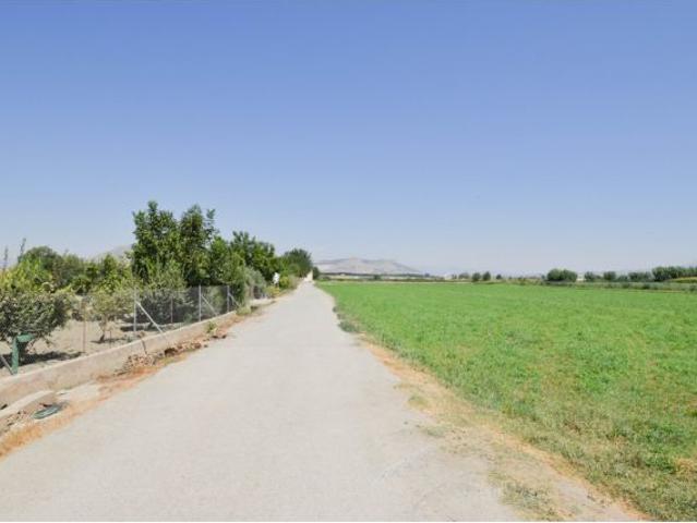 Local Comercial en venta en Belicena, Comarca de la Vega de Granada