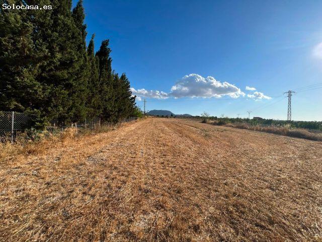 Local Comercial en venta en Pla de Mallorca, Baleares