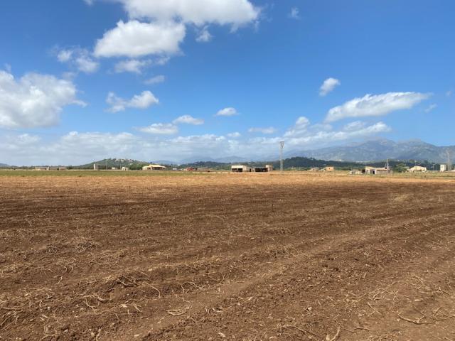 Terreno en venta en Raiguer, Baleares