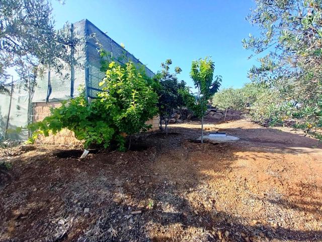 Casa Rural en venta en El Pedroso, Andalucía