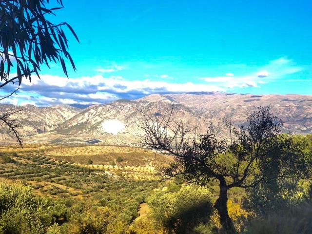 Chalet en venta en Cozvíjar, Comarca del Valle de Lecrín
