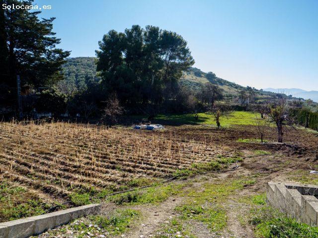 Local Comercial en venta en Alcaudete, Andalucía