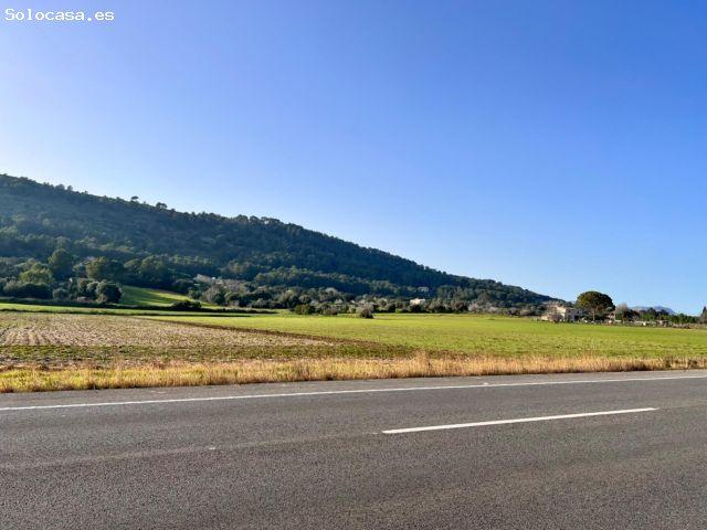Local Comercial en venta en Son Fe, Raiguer