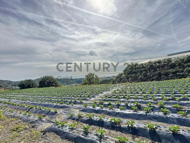 Terreno en venta en Los Llanos, La Axarquía