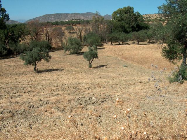 Terreno en venta en El Parral, Valle del Guadalhorce