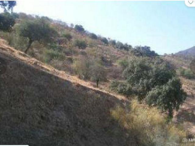 Local Comercial en venta en El Puente, Valle del Guadalhorce