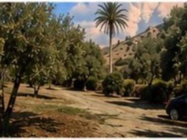 Local Comercial en alquiler en Valle del Guadalhorce, Andalucía