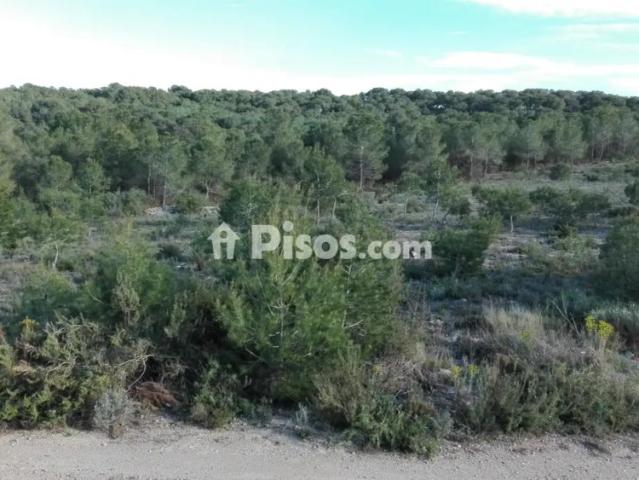 Casa en alquiler en Ciutat Vella, València