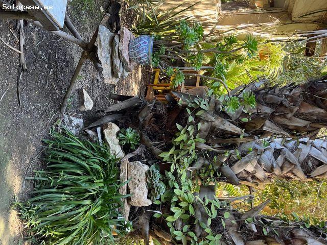 Local Comercial en alquiler en el Baix Segura / La Vega Baja, Valencia