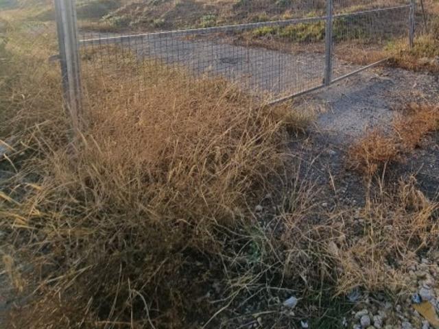 Terreno en alquiler en Lucena