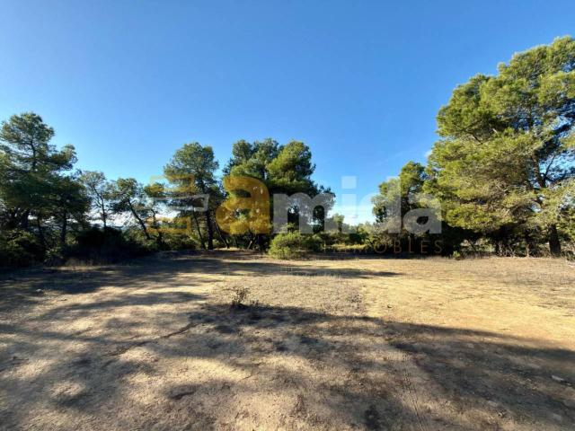 Terreno en alquiler en Garrigues, Catalunya