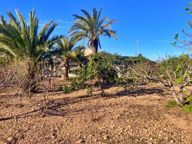 Chalet en venta en Carrús Oest, el Baix Vinalopó