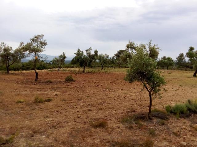 Chalet en venta en Matarraña / Matarranya, Arens De Lledó