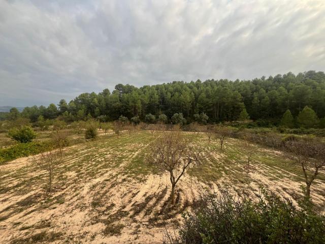 Chalet en venta en Matarraña / Matarranya, Arens De Lledó