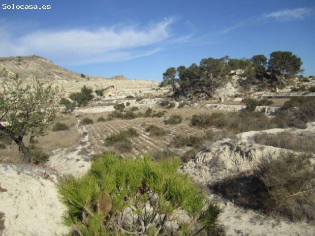 Local Comercial en venta en La Columna, el Vinalopó Mitjà / El Vinalopó Medio
