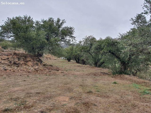 Local Comercial en venta en Fondón, Andalucía
