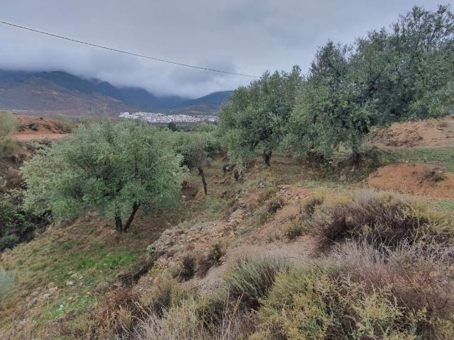 Chalet en venta en Fondón, Andalucía