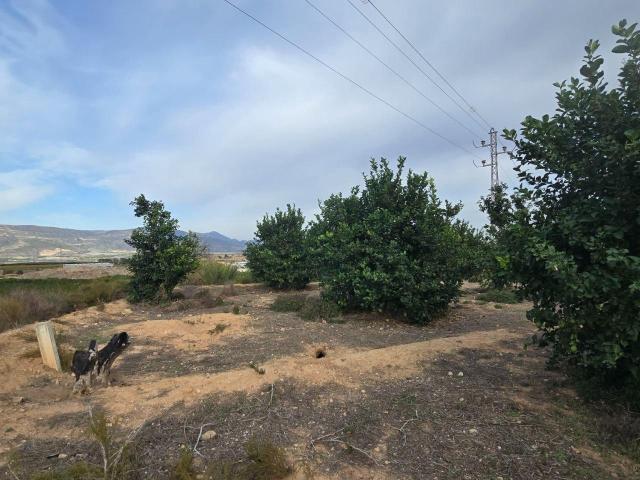 Terreno en venta en Blanca, Región de Murcia